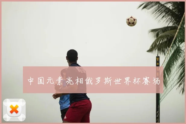 中国元素亮相俄罗斯世界杯赛场
