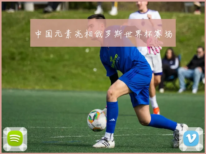 中国元素亮相俄罗斯世界杯赛场
